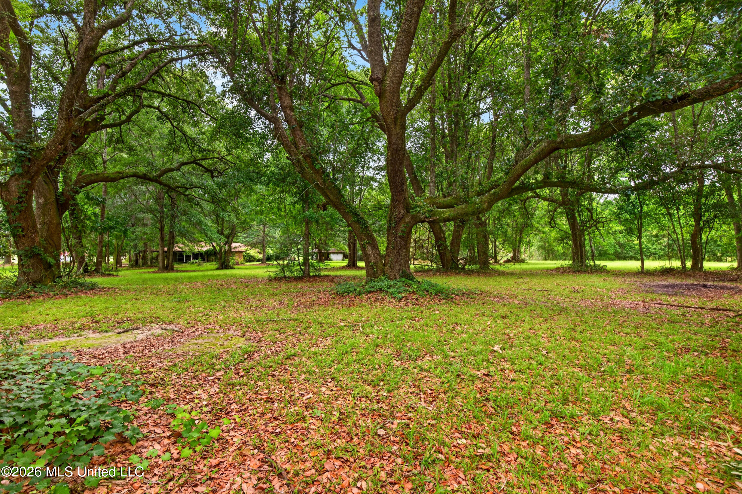 8102 Beatline Road Long Beach, MS 39560 - Photo 13 of 44 8102BeatlineRd.-17