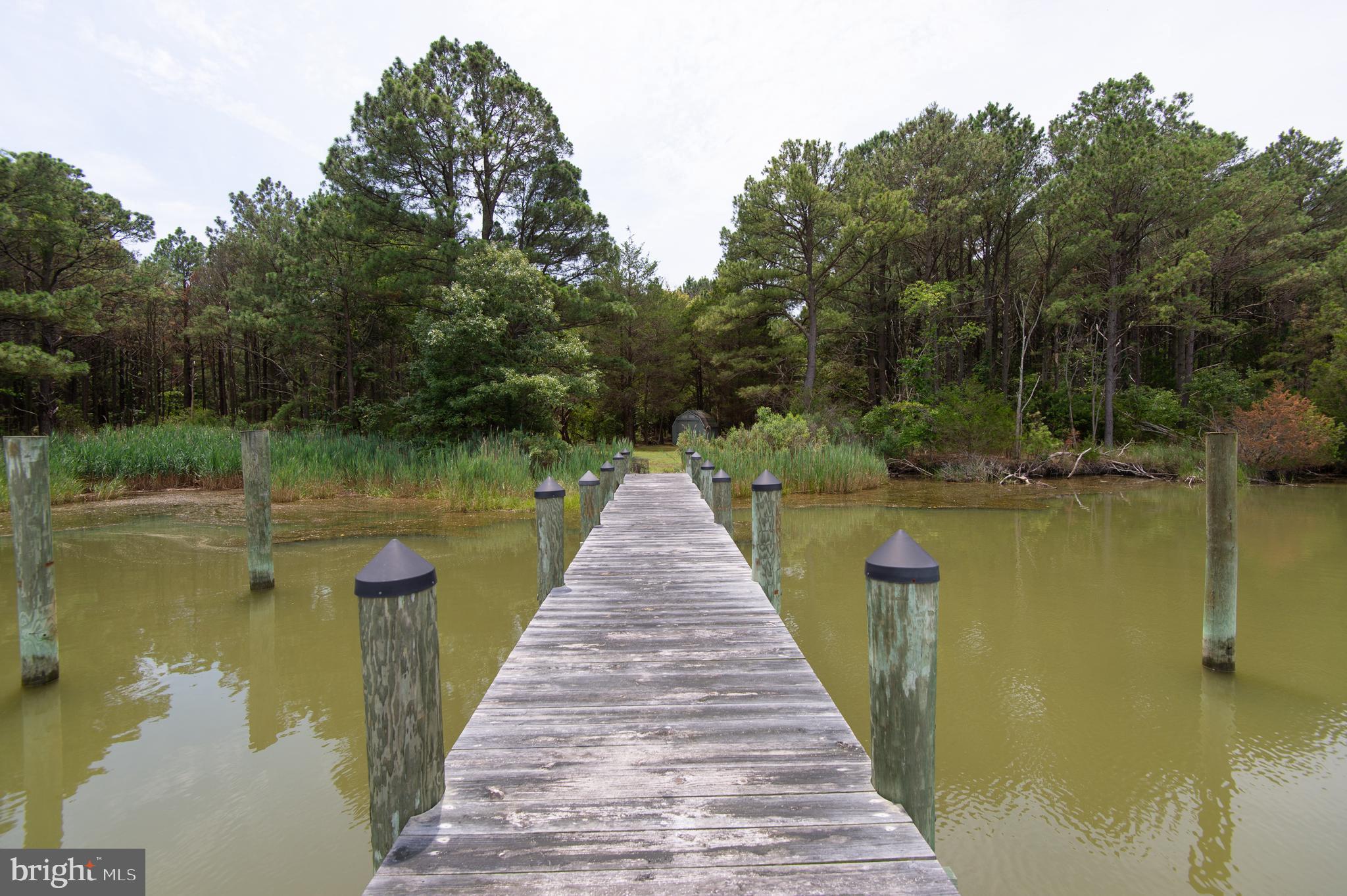 6046 Todds Point Road Cambridge, MD 21613 - Photo 84 of 94 Gallery Image 84