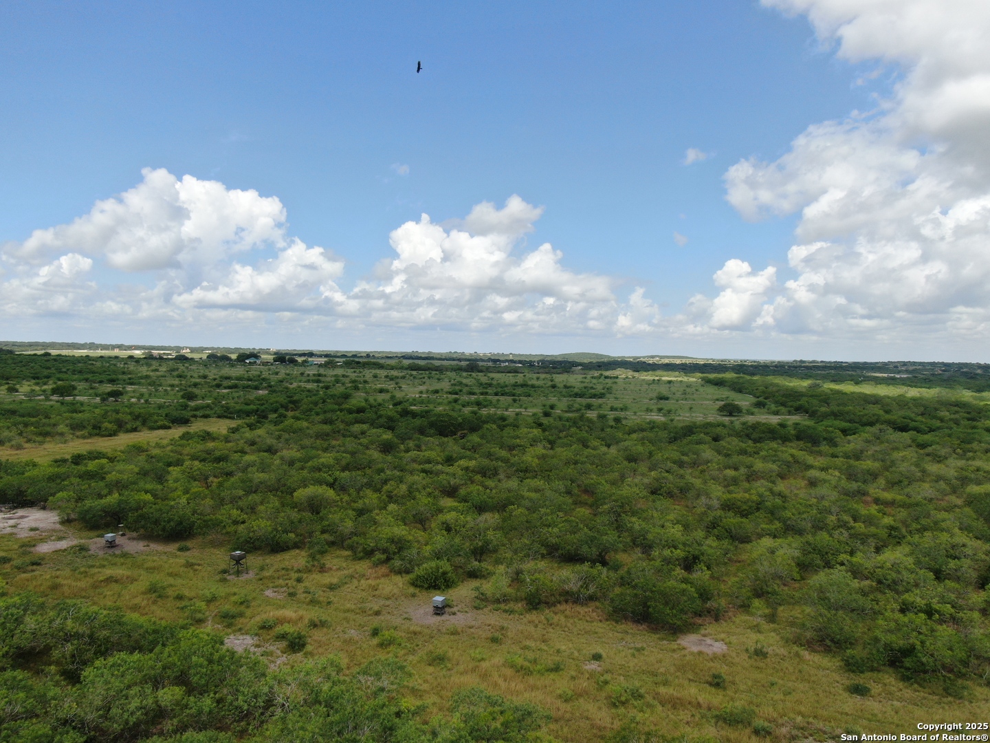 Tract 6 County Rd 208 Hobson, TX 78117 - Photo 2 of 5 a view of a large yard