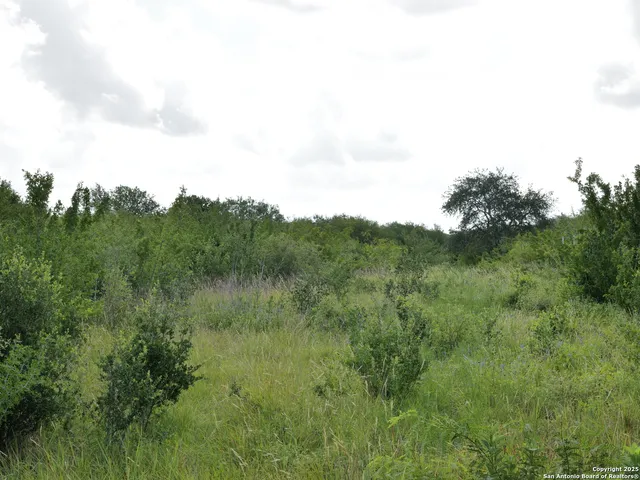 a view of a green field