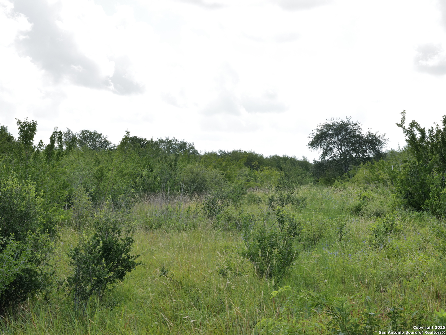 Tract 6 County Rd 208 Hobson, TX 78117 - Photo 4 of 5 a view of a green field