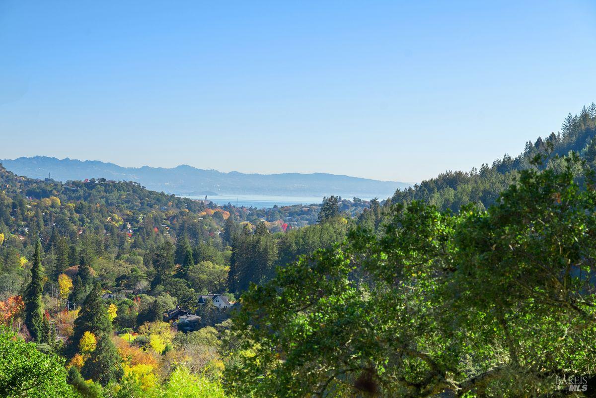 27 Upper Road Ross, CA 94957 - Photo 57 of 59