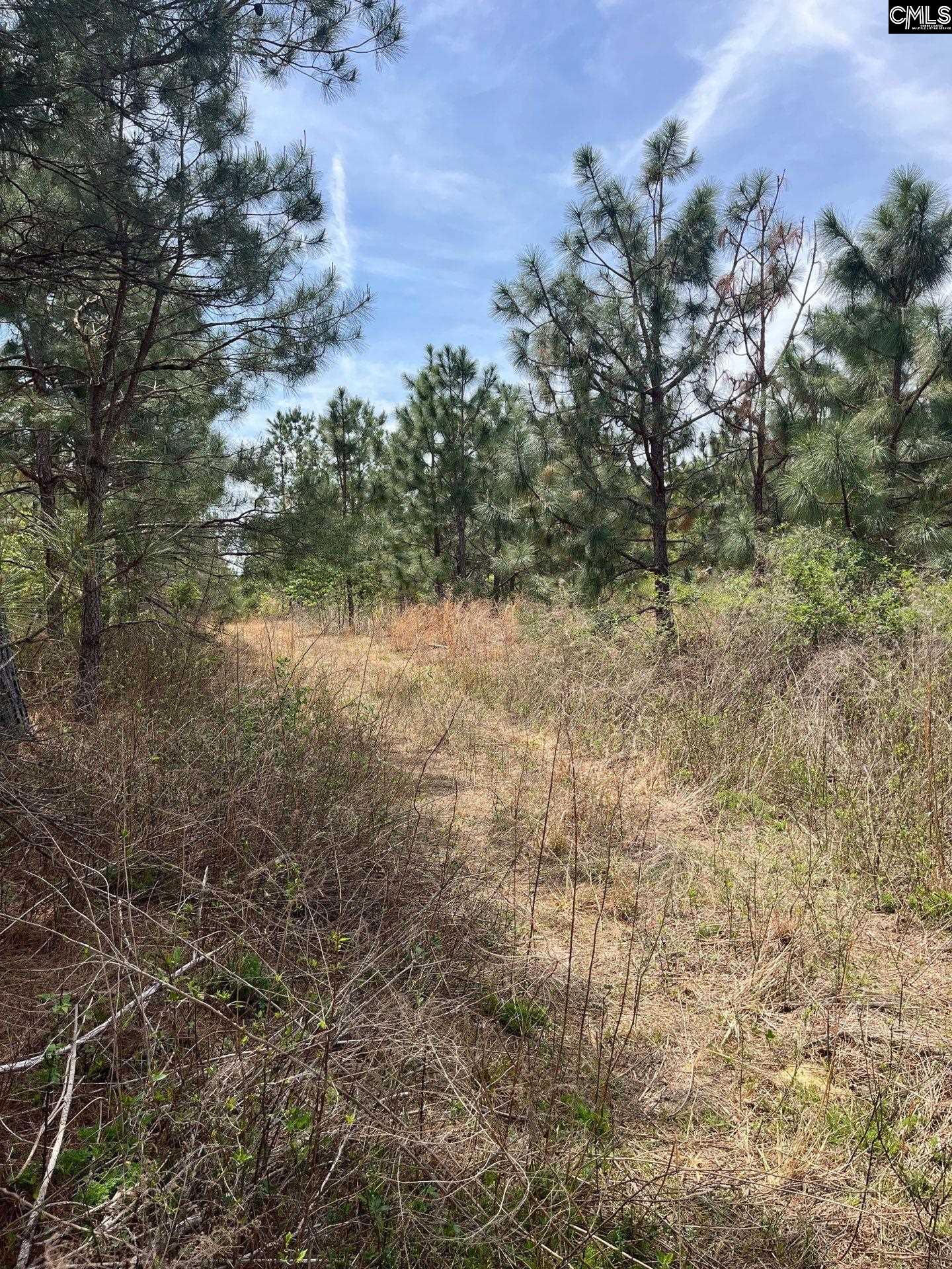 7 Beaver Dam Road Cassatt, SC 29032 - Photo 3 of 4