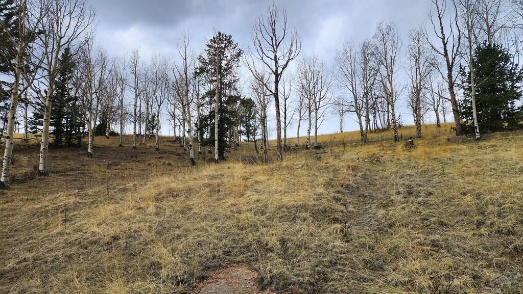 0 County Road Victor, CO 80860 - Photo 16 of 21