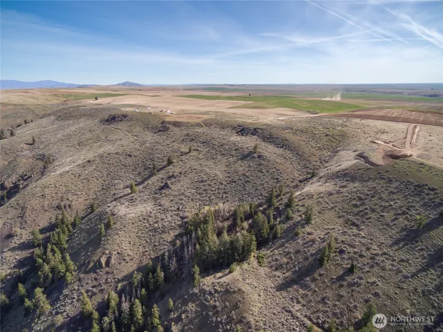 a view of an ocean beach