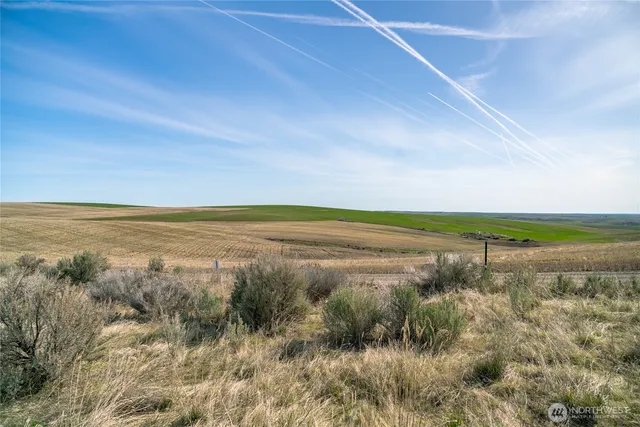 a view of beach and ocean