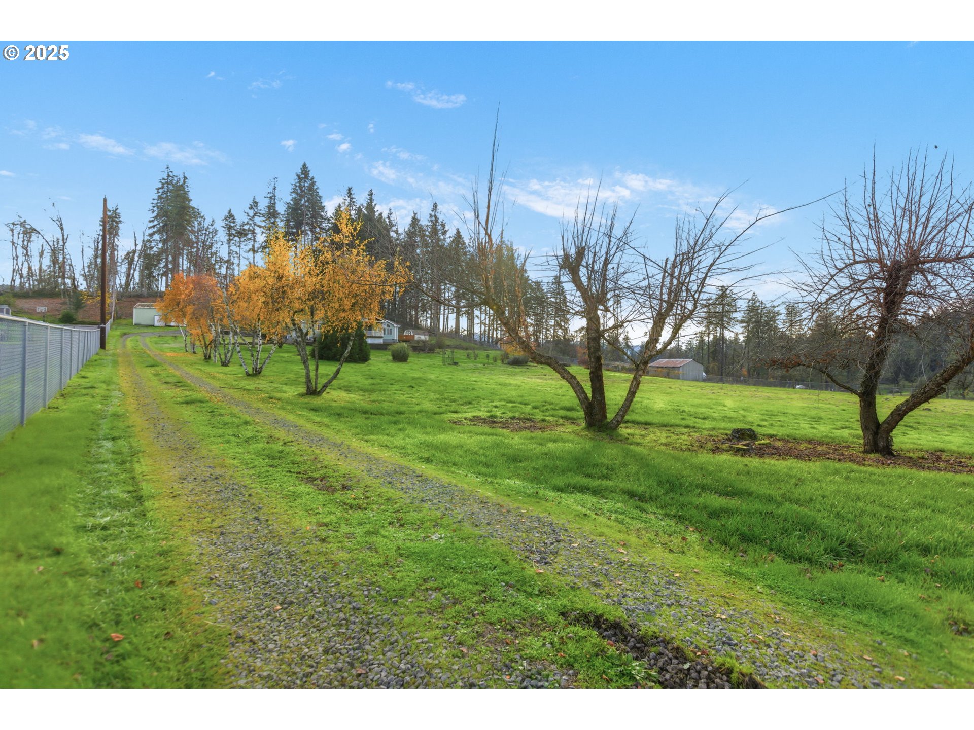 35986 Enterprise Road Creswell, OR 97426 - Photo 6 of 48