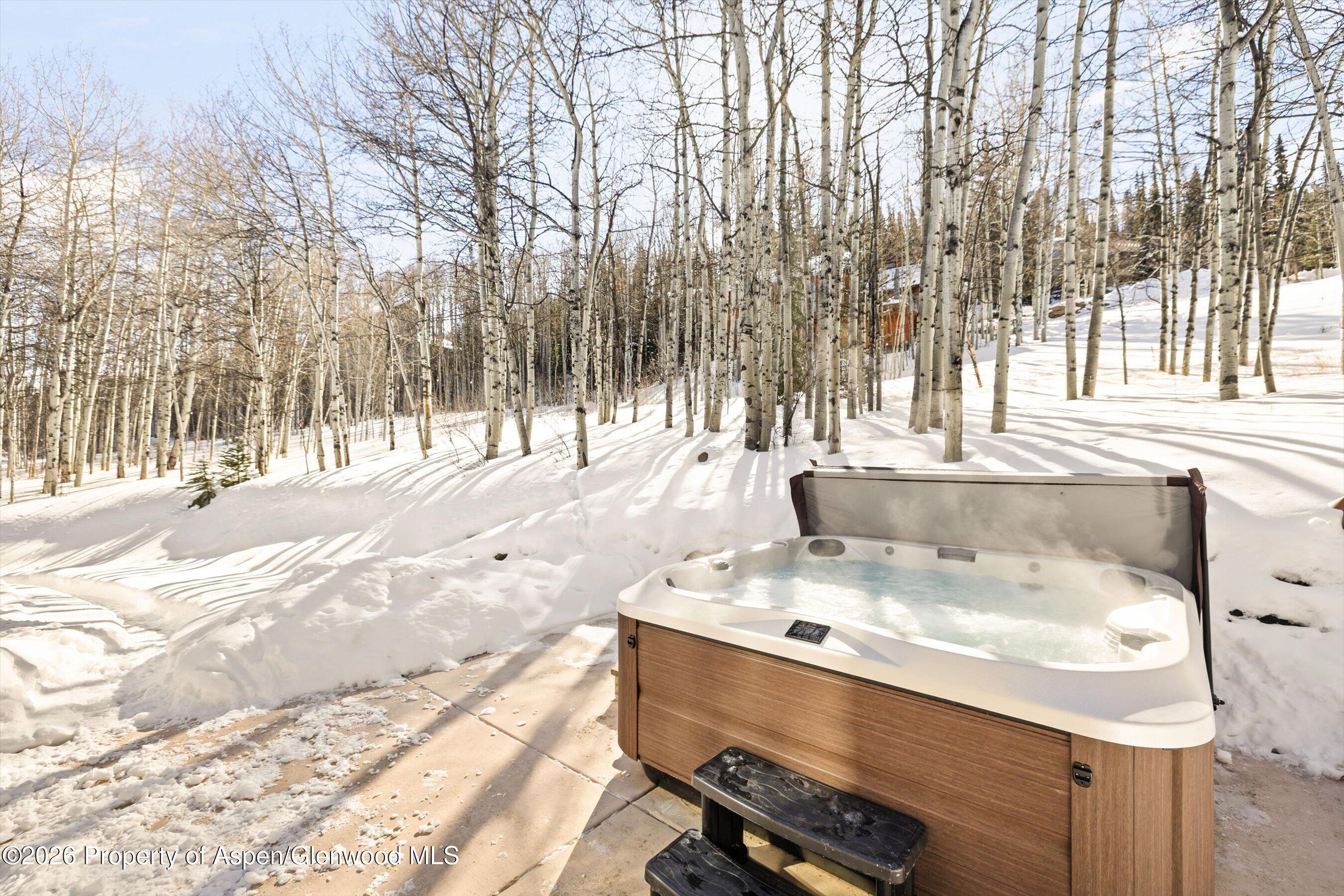 435 Faraway Road Snowmass Village, CO 81615 - Photo 29 of 35 24-435FarawayRd_2602_2772