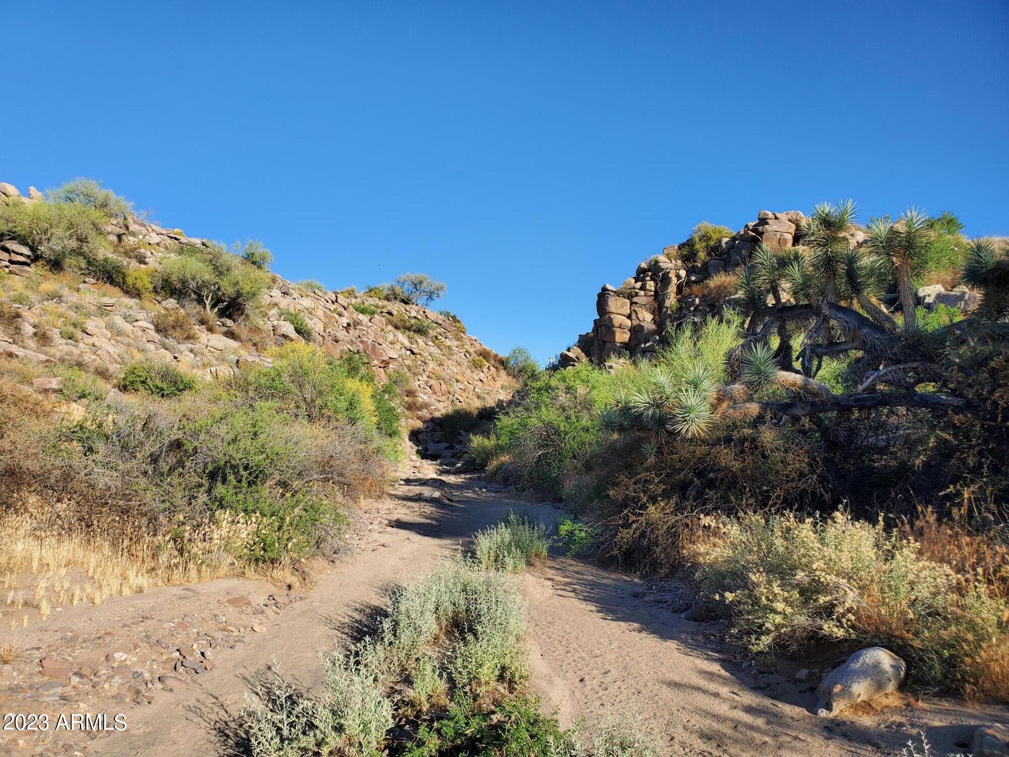 -xxx Date Creek Ranch Road Congress, AZ 85332 - Photo 16 of 20 20230523_180300