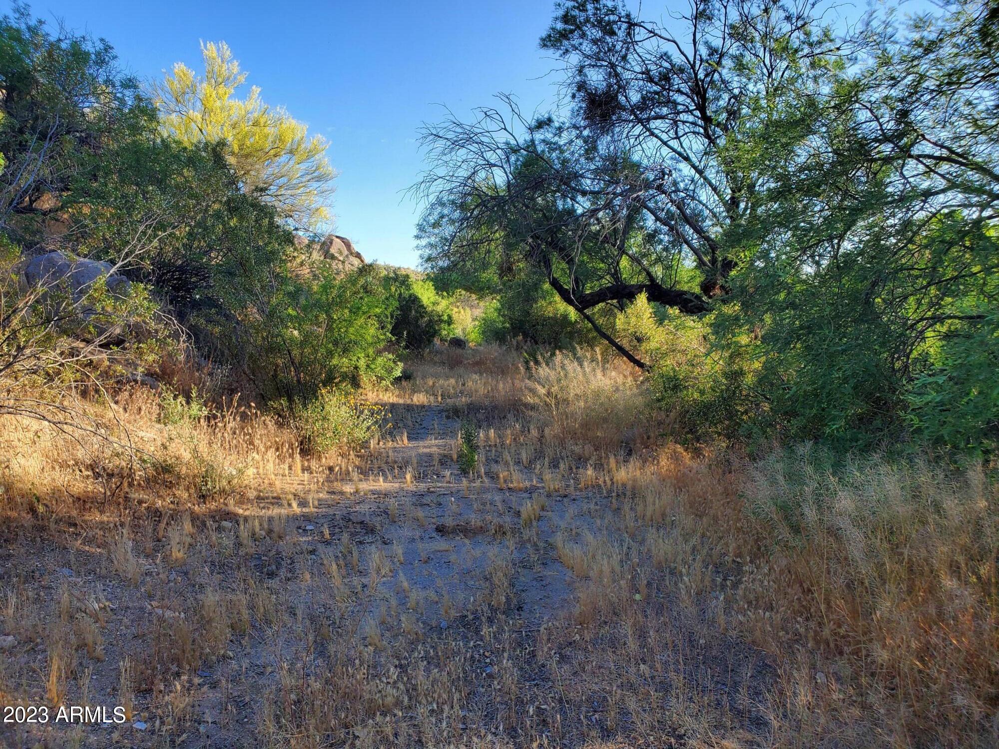 -xxx Date Creek Ranch Road Congress, AZ 85332 - Photo 3 of 20 20230523_181822