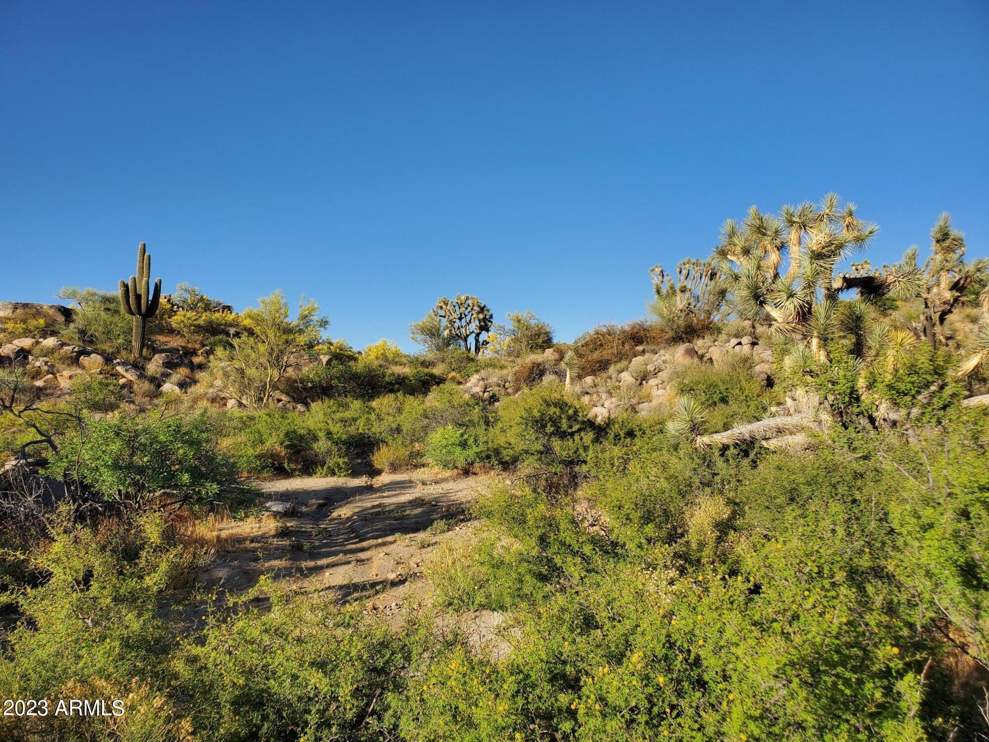 -xxx Date Creek Ranch Road Congress, AZ 85332 - Photo 5 of 20 20230523_181504