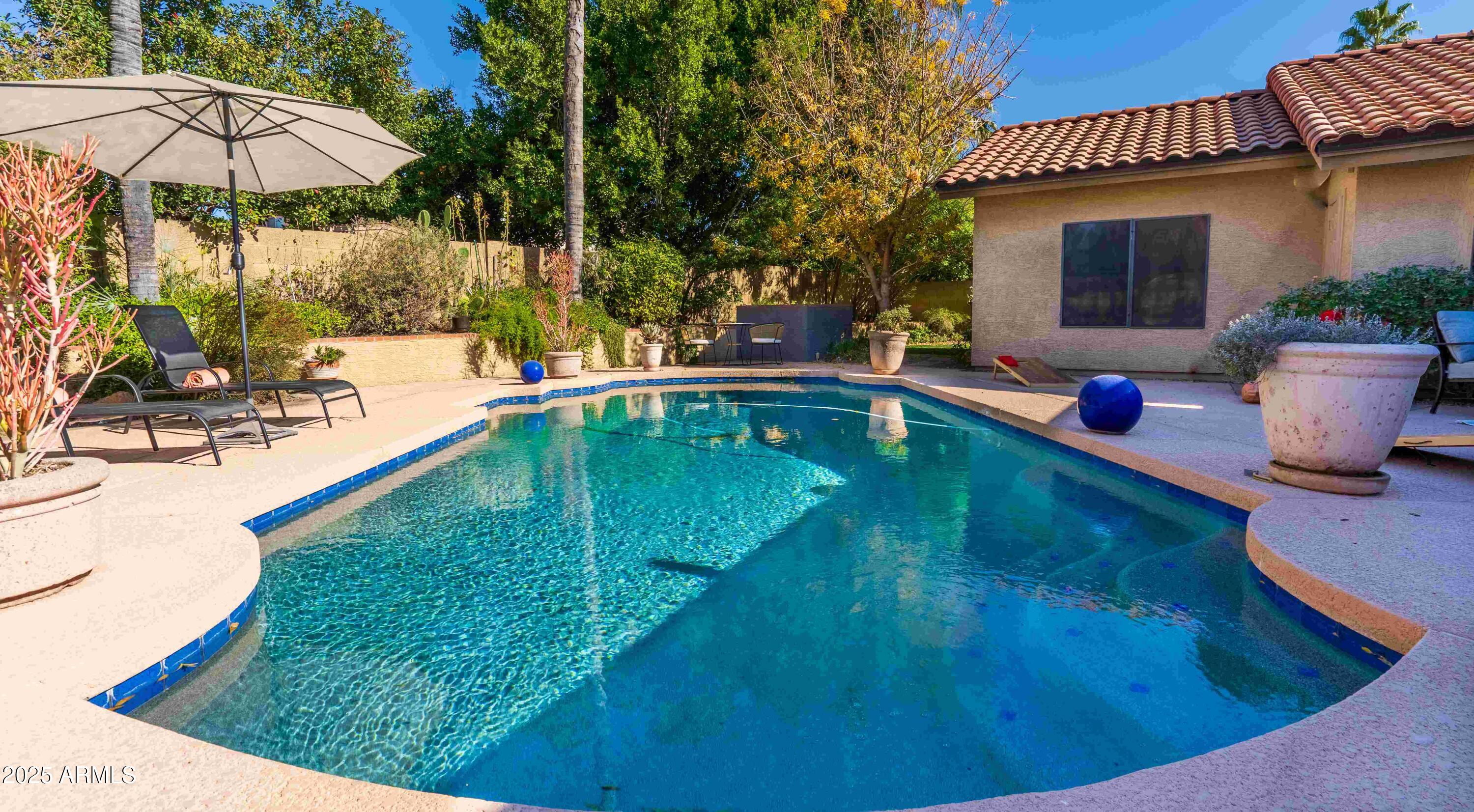 5426 East Libby Street Scottsdale, AZ 85254 - Photo 24 of 29 Libby Pool