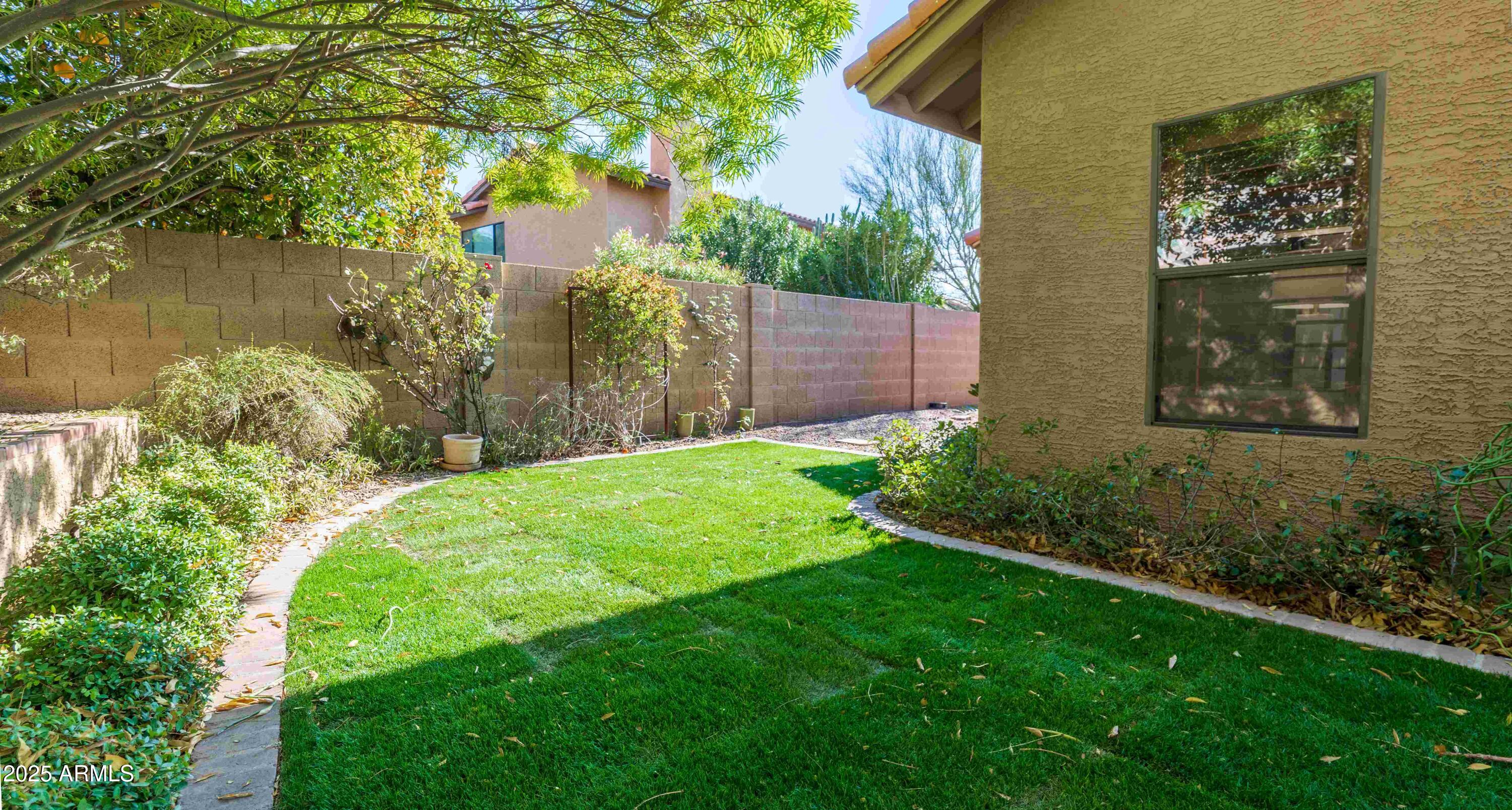 5426 East Libby Street Scottsdale, AZ 85254 - Photo 25 of 29 Libby grass