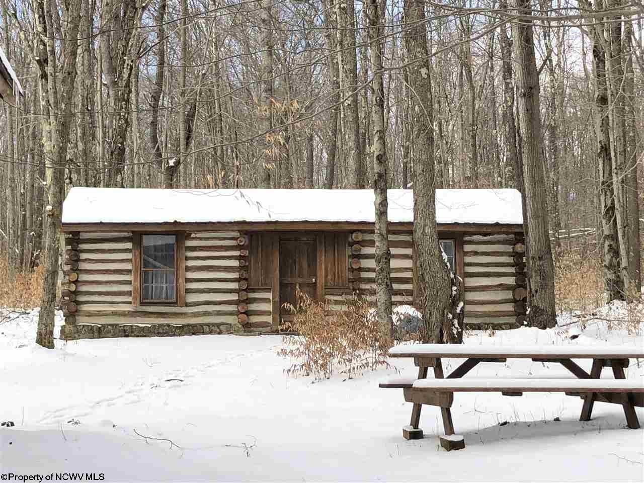 1026 Lakeview Road Davis, WV 26260 - Photo 3 of 20 Gallery Image 3