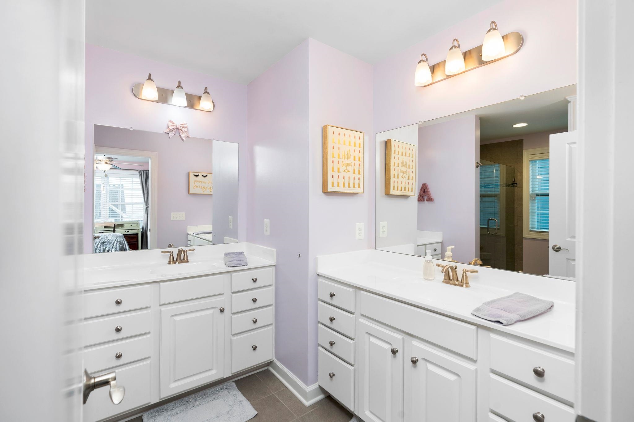 1644 Delphi Drive Charlottesville, VA 22911 - Photo 30 of 39 a bathroom with a sink a light fixture and a mirror
