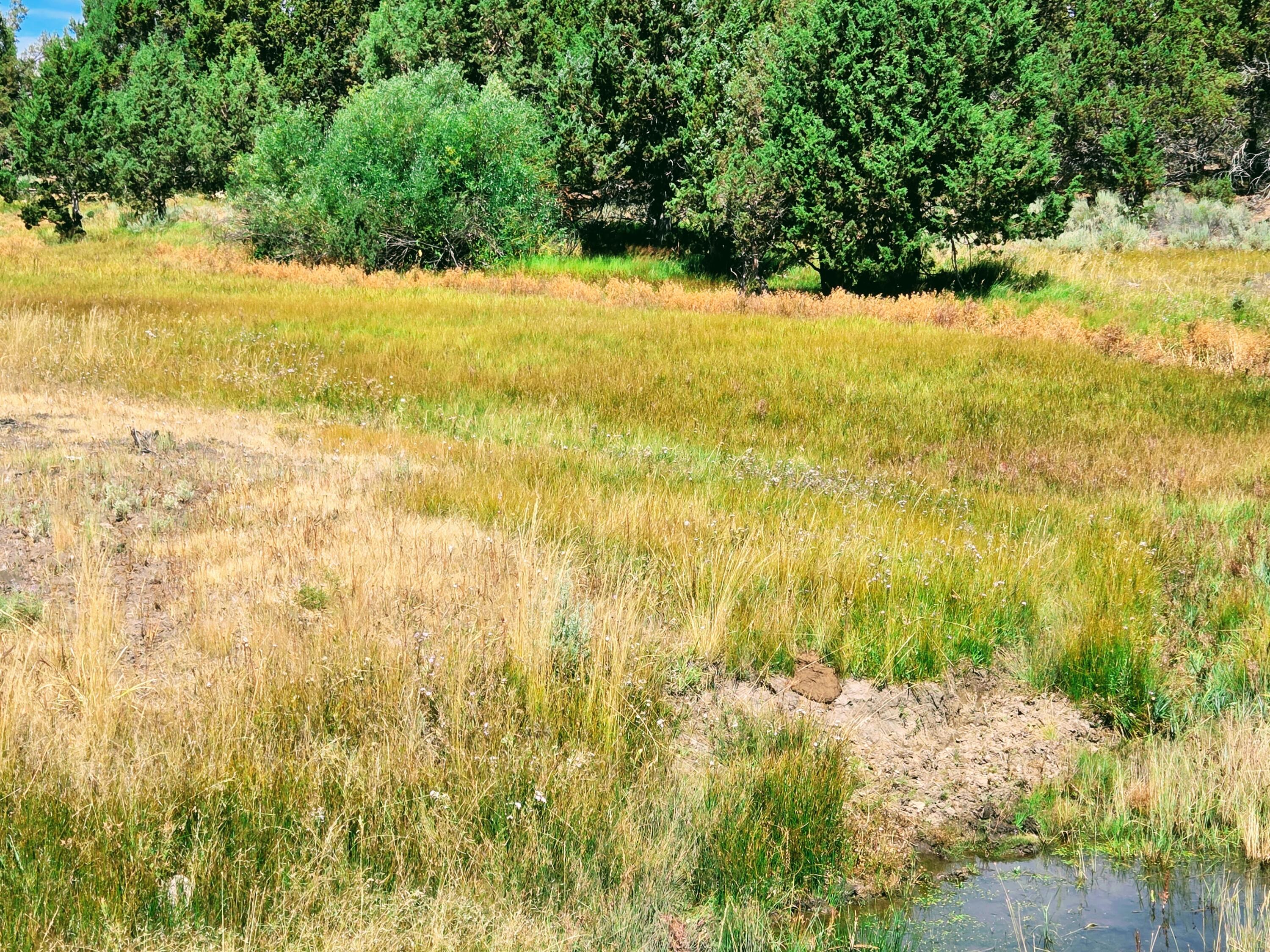 32500 Tackman Road Prineville, OR 97754 - Photo 59 of 112