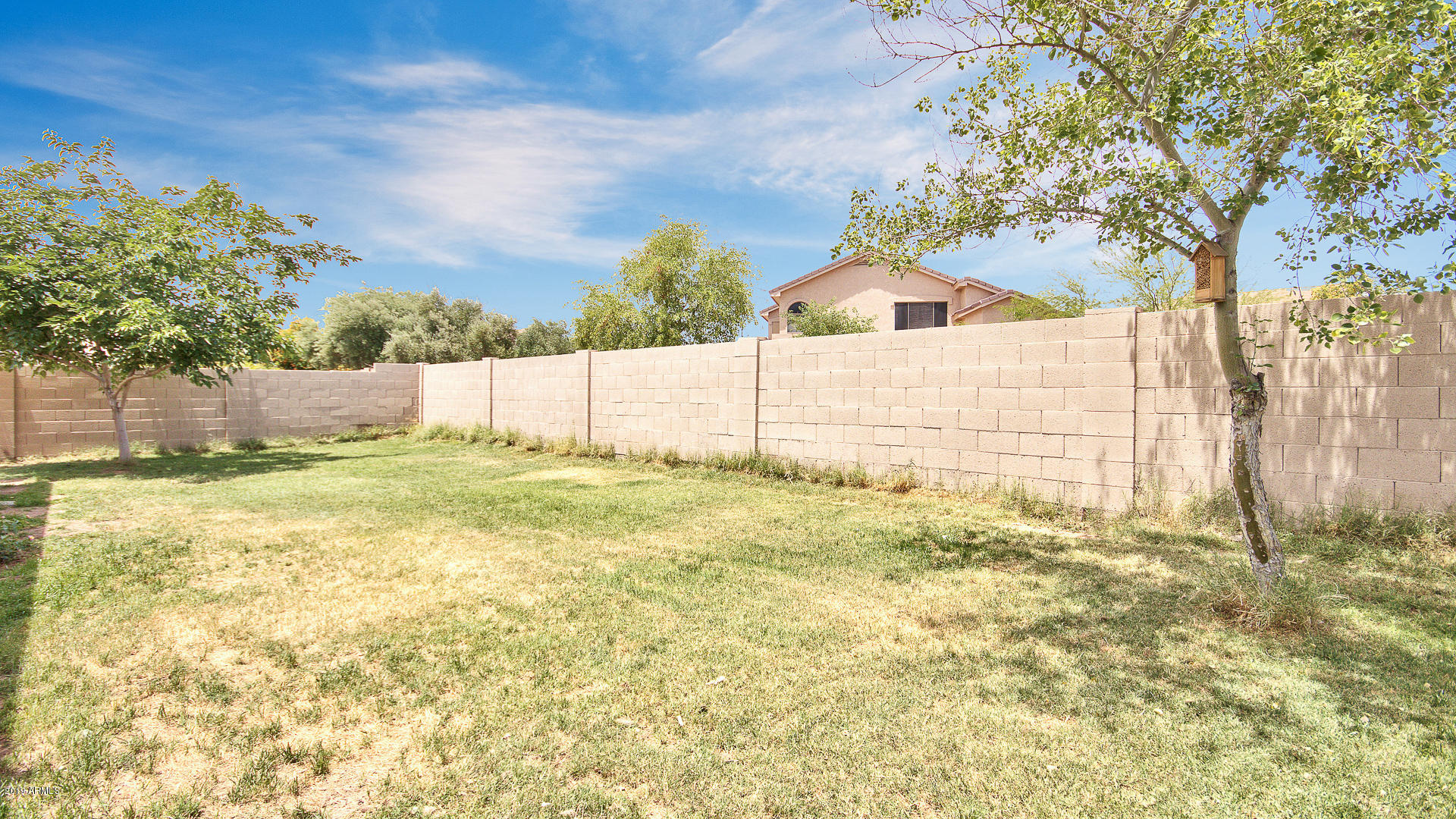 11066 East Cholla Road Mesa, AZ 85207 - Photo 16 of 17 Backyard