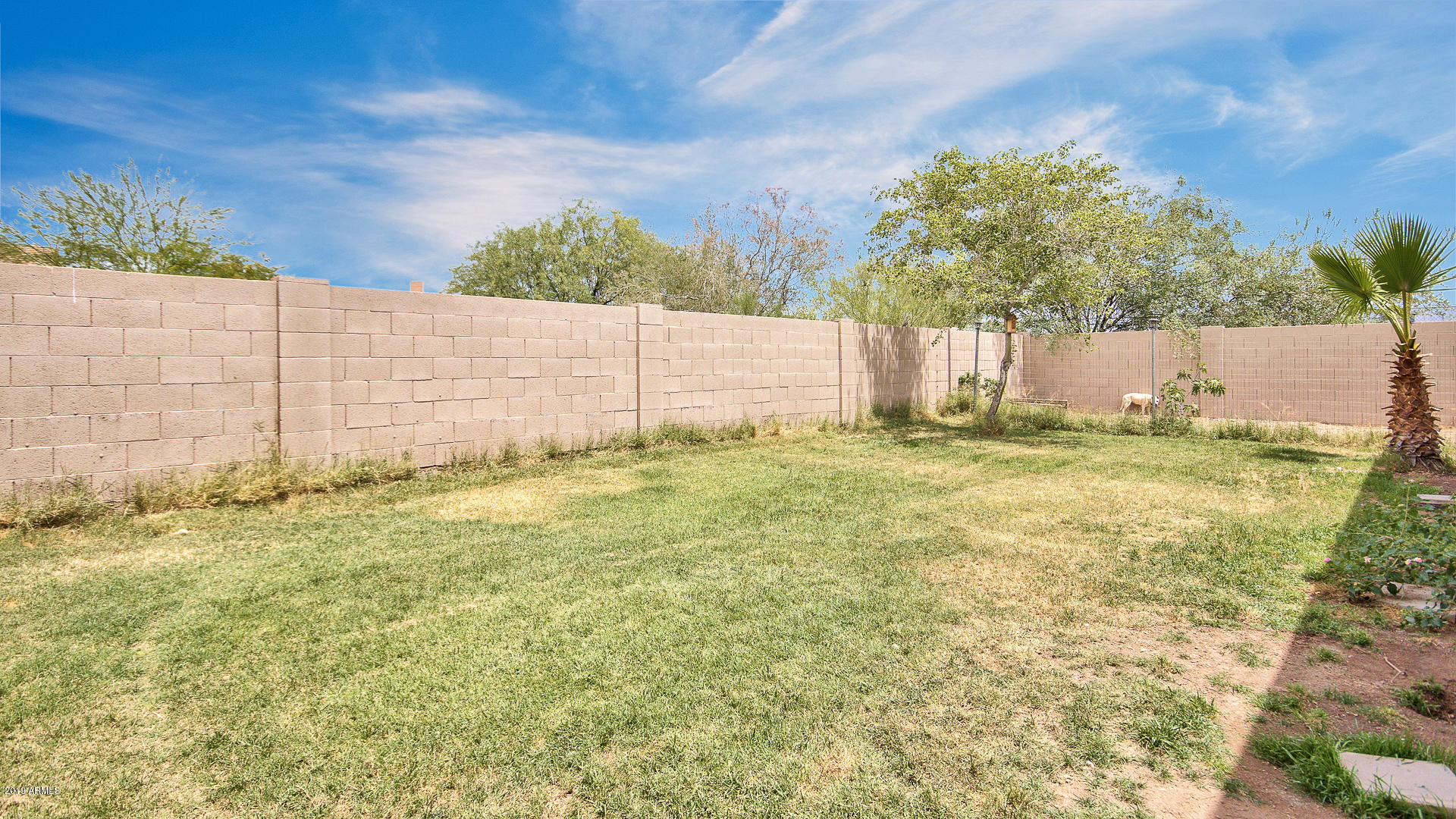 11066 East Cholla Road Mesa, AZ 85207 - Photo 17 of 17 Backyard