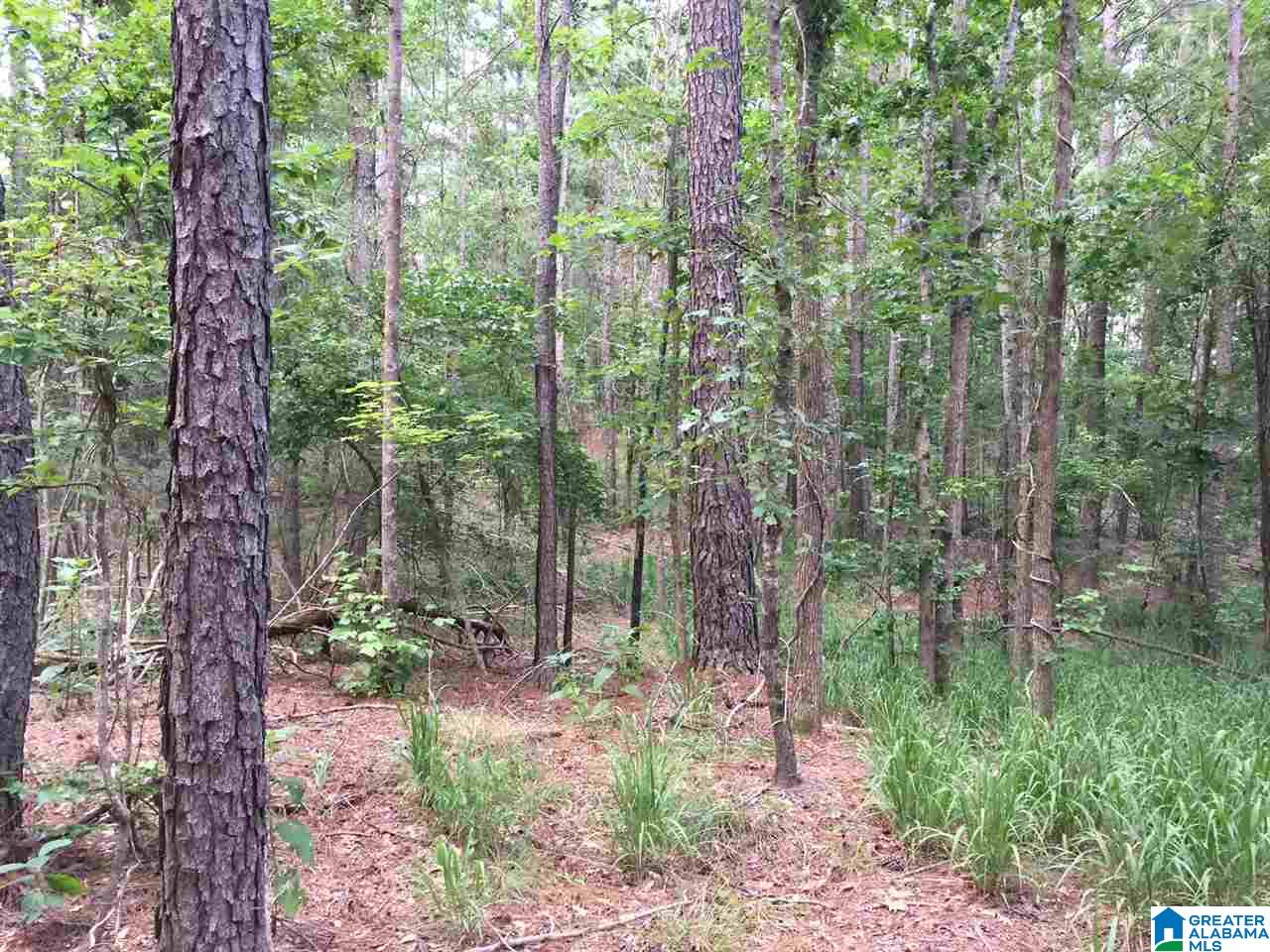 2364 Grants Mill Road Birmingham, AL 35210 - Photo 13 of 17