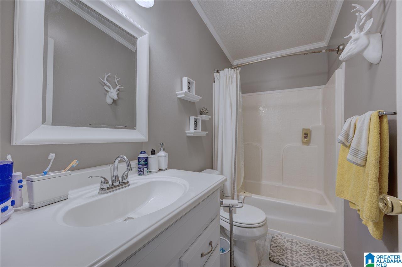 4395 Sand Valley Road Remlap, AL 35133 - Photo 21 of 24
