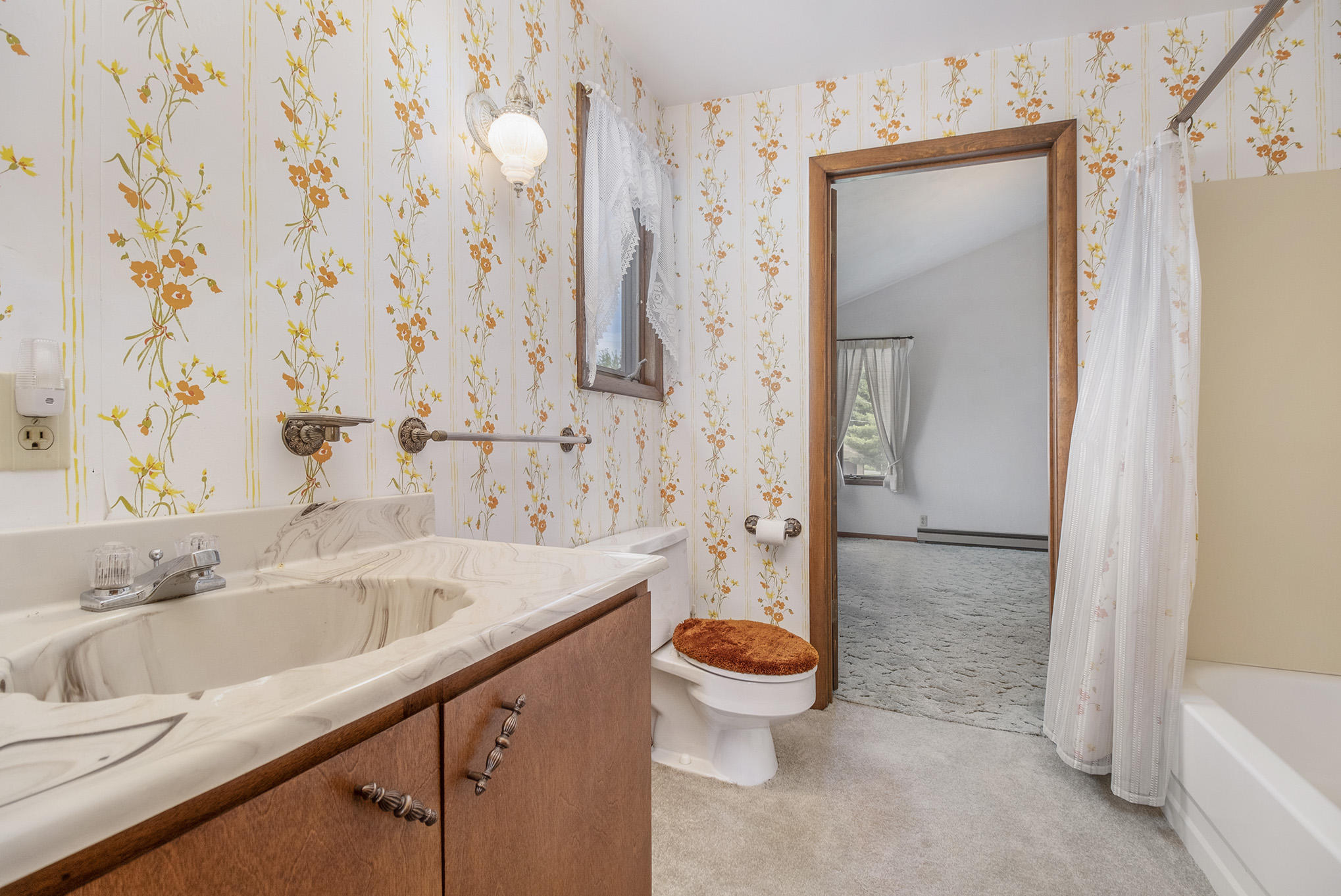 52216 Rivolake Road Three Rivers, MI 49093 - Photo 13 of 21 DSCF6511