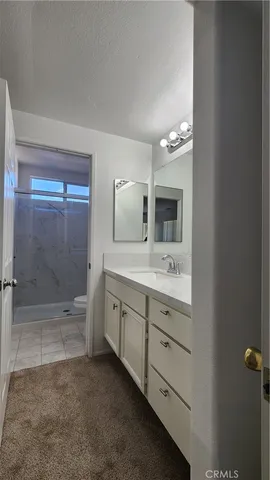 a bathroom with a shower and a toilet
