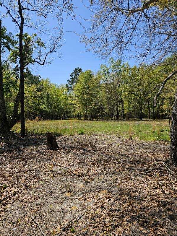 Tbd Tbd Edisto Church/veterans Road Williston, SC 29853 - Photo 7 of 9