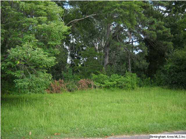109 Yeager Road Warrior, AL 35180 - Photo 2 of 2