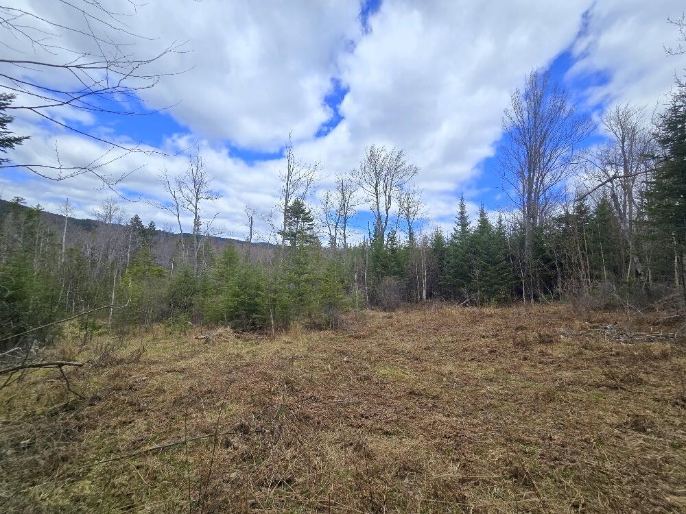 36 Chimney Rock Road Temple, ME 04984 - Photo 5 of 19
