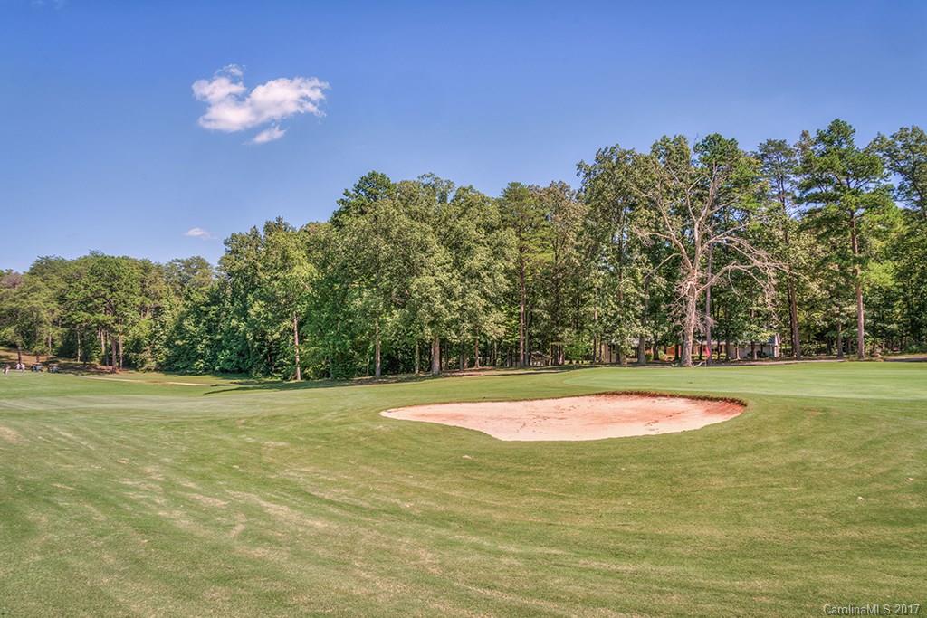 828 Hooper Creek Road, Unit 22 Tryon, NC 28782 - Photo 22 of 23 Gallery Image 22