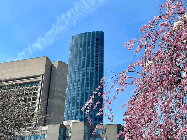 a view of a building