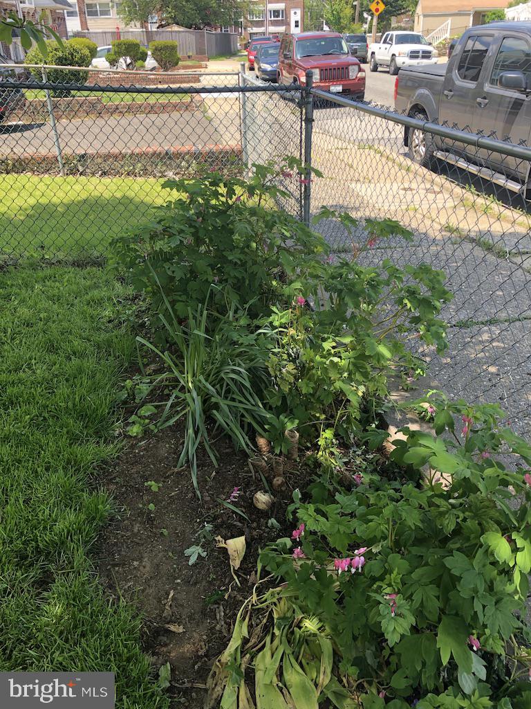 3124 Holly Road Philadelphia, PA 19154 - Photo 7 of 47