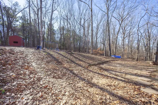 a backyard of a house with trees