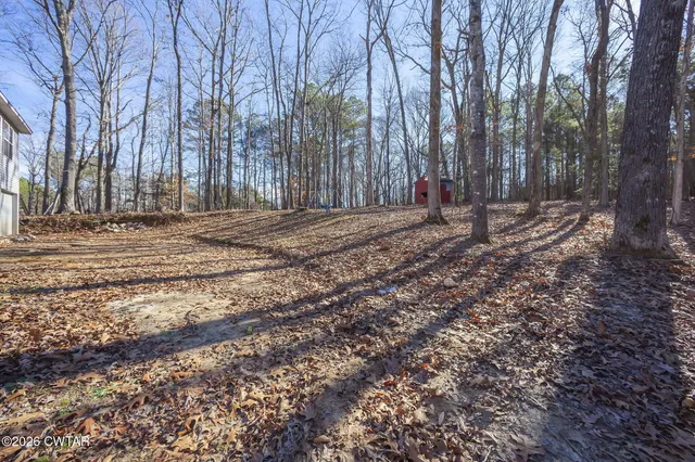 a view of a backyard with large trees