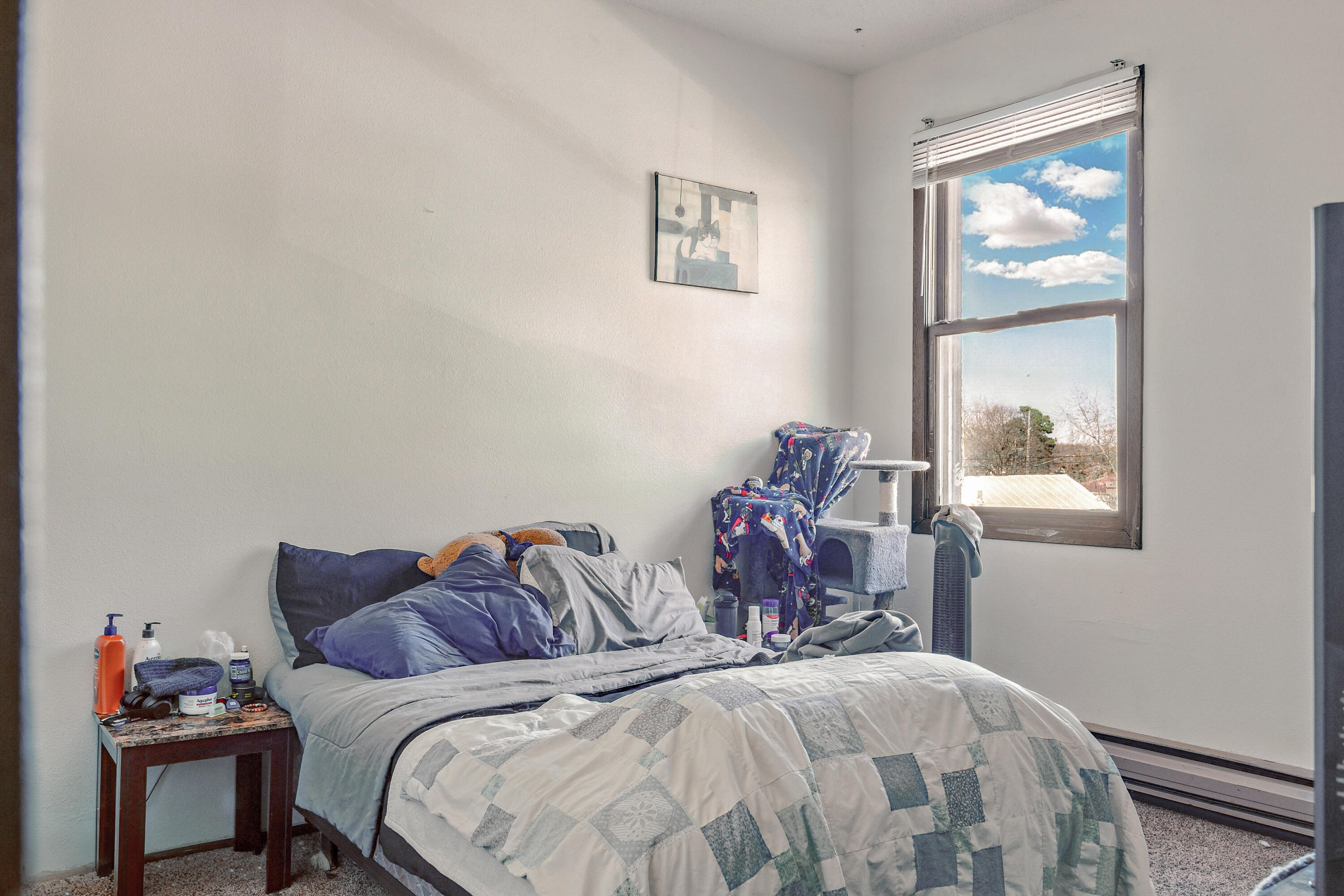 1711 George Street La Crosse, WI 54603 - Photo 7 of 37 Upstairs Unit