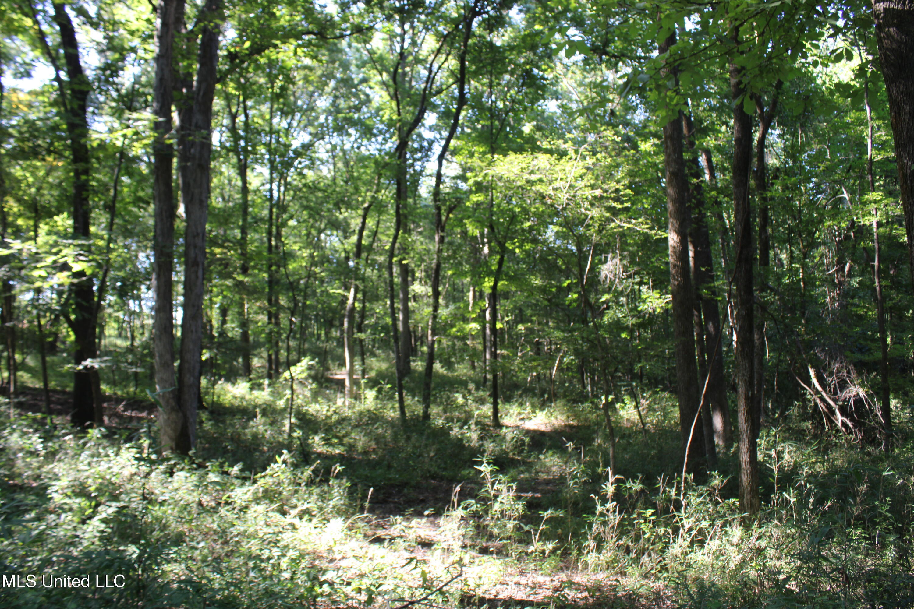 8420 Milne Way Hernando, MS 38632 - Photo 11 of 25 IMG_4355