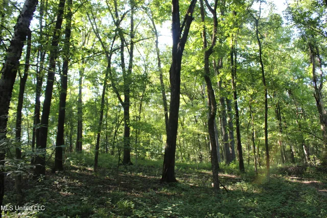 $145,000 | 8420 Milne Way, Hernando, MS 38632