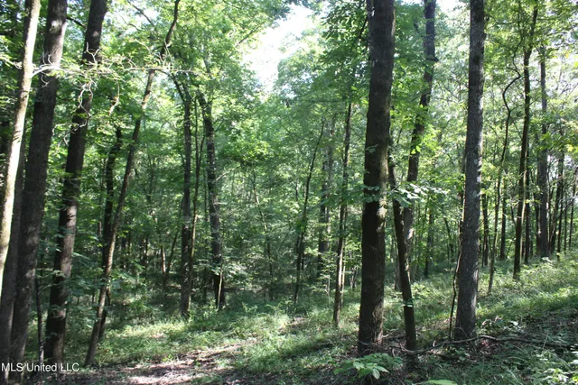 $145,000 | 8420 Milne Way, Hernando, MS 38632