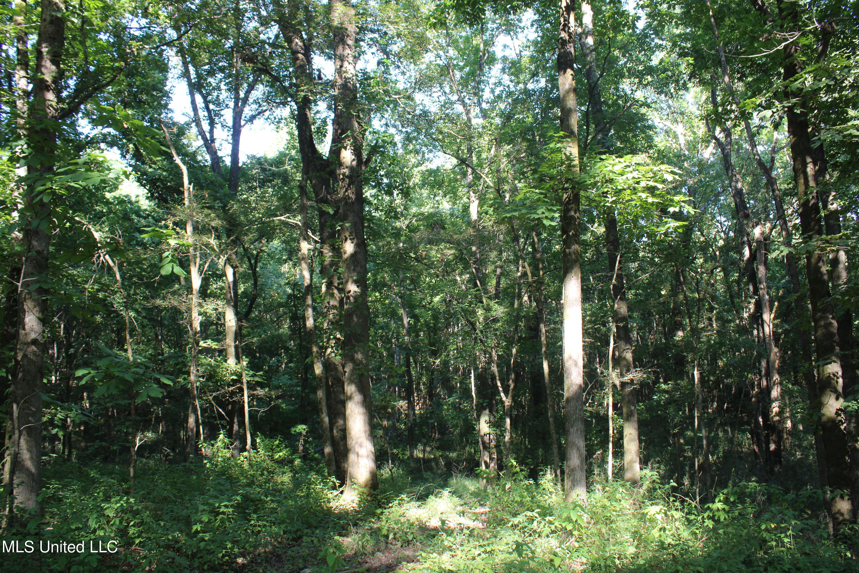 8420 Milne Way Hernando, MS 38632 - Photo 15 of 25 IMG_4360