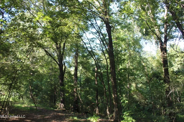 $145,000 | 8420 Milne Way, Hernando, MS 38632