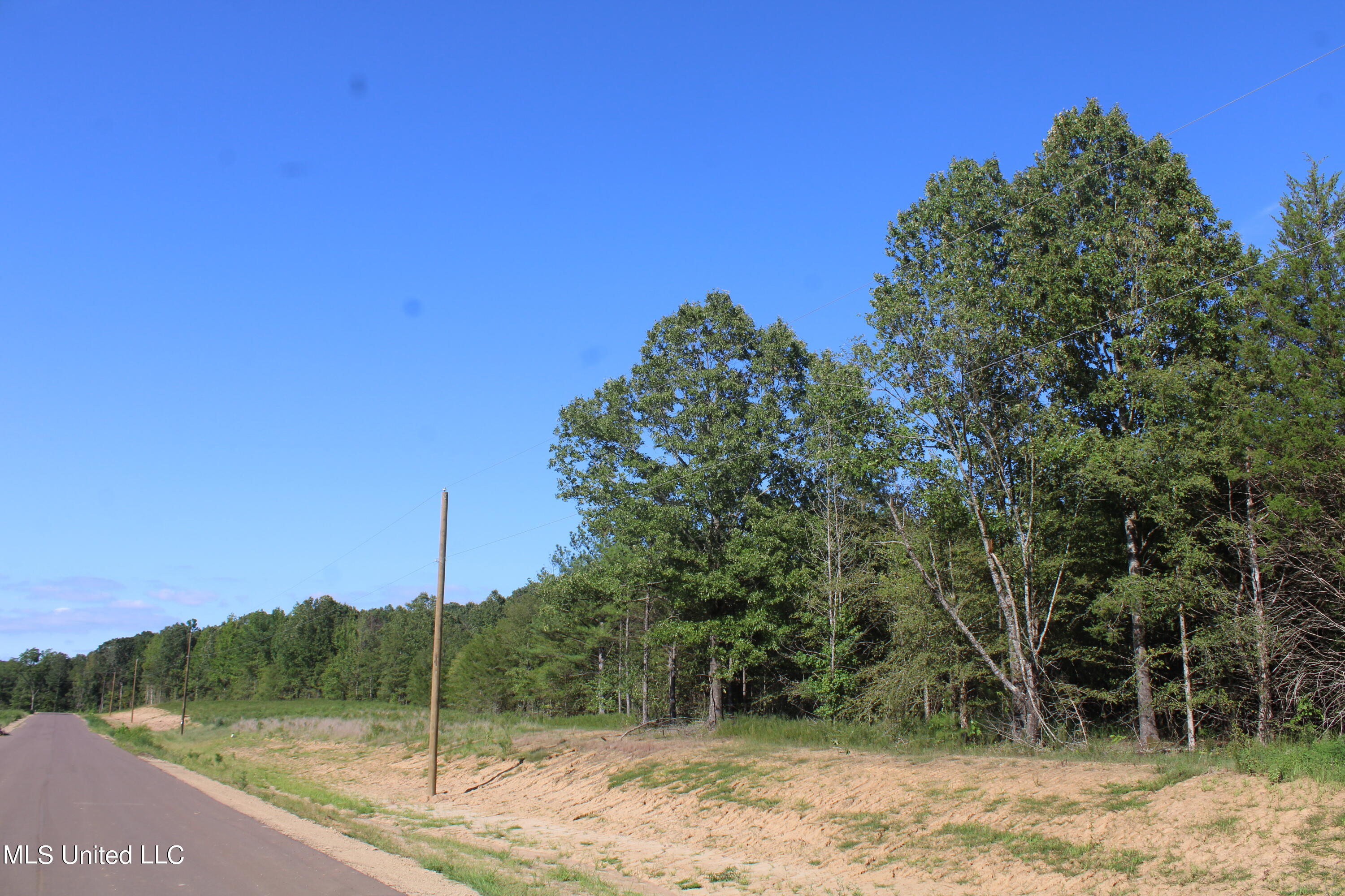 8420 Milne Way Hernando, MS 38632 - Photo 18 of 25 IMG_4364