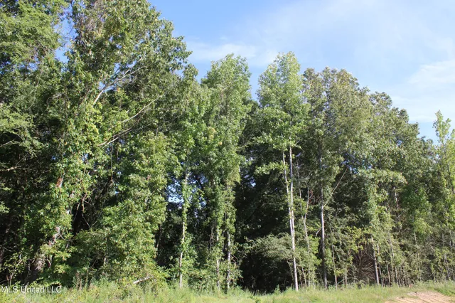 $145,000 | 8420 Milne Way, Hernando, MS 38632