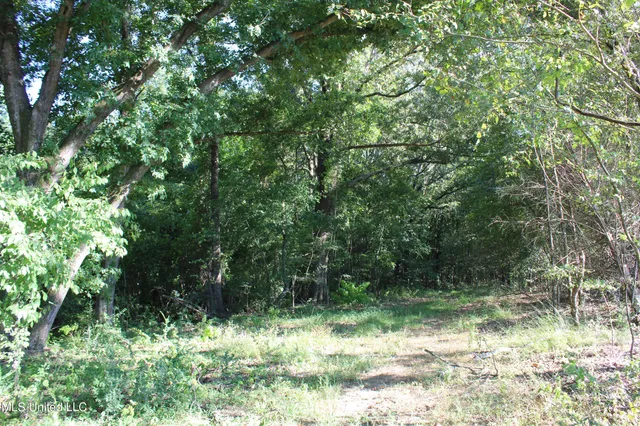 $145,000 | 8420 Milne Way, Hernando, MS 38632