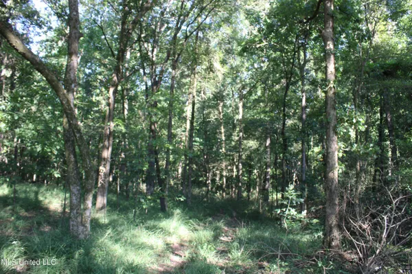 $145,000 | 8420 Milne Way, Hernando, MS 38632