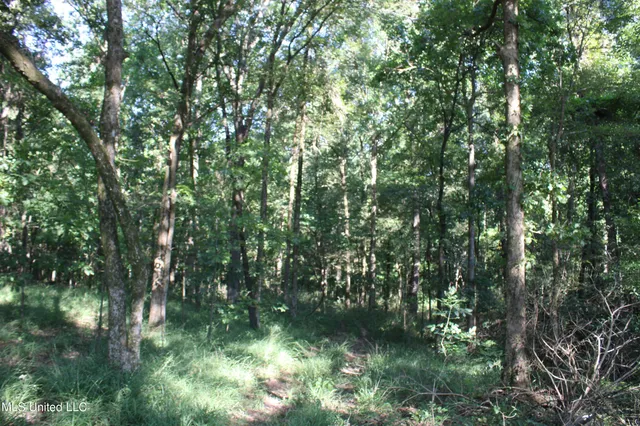 $145,000 | 8420 Milne Way, Hernando, MS 38632