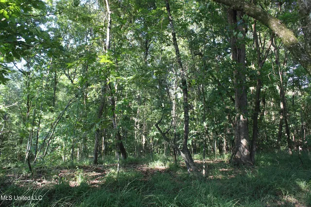 $145,000 | 8420 Milne Way, Hernando, MS 38632