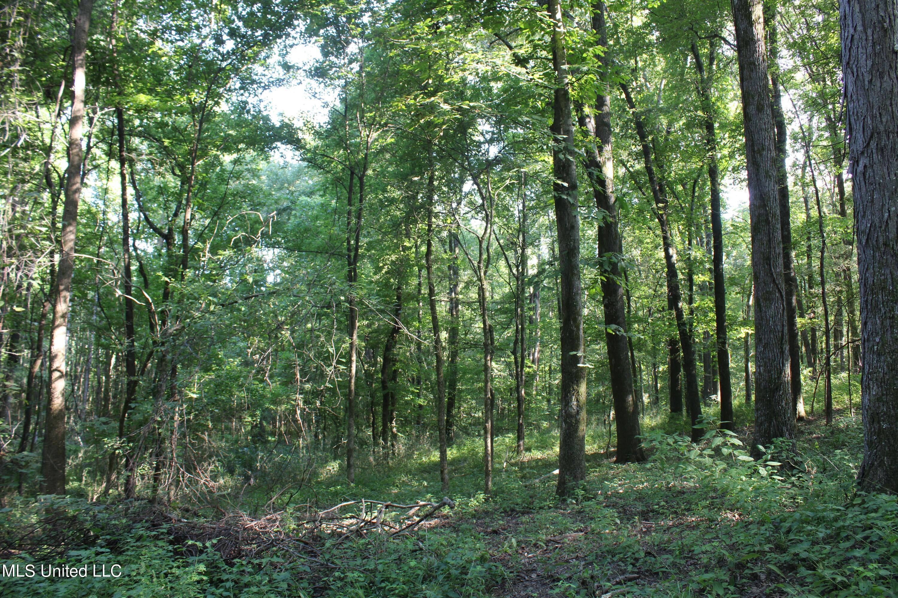 8420 Milne Way Hernando, MS 38632 - Photo 23 of 25 IMG_4354