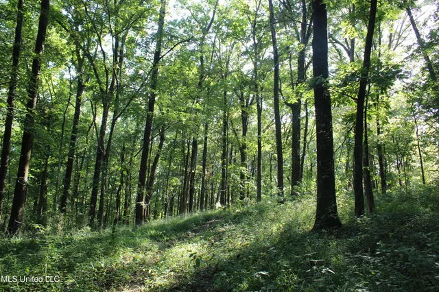 $145,000 | 8420 Milne Way, Hernando, MS 38632