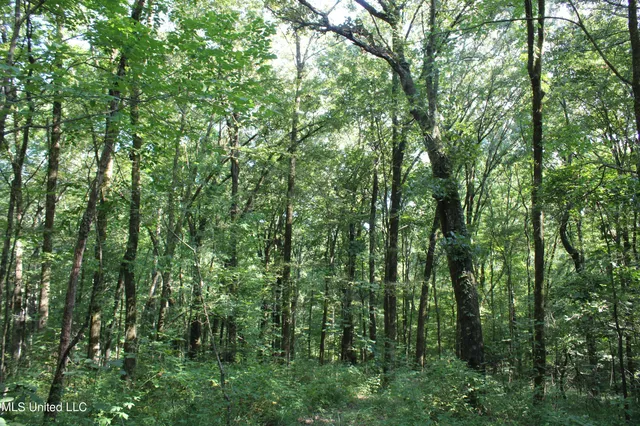 $145,000 | 8420 Milne Way, Hernando, MS 38632