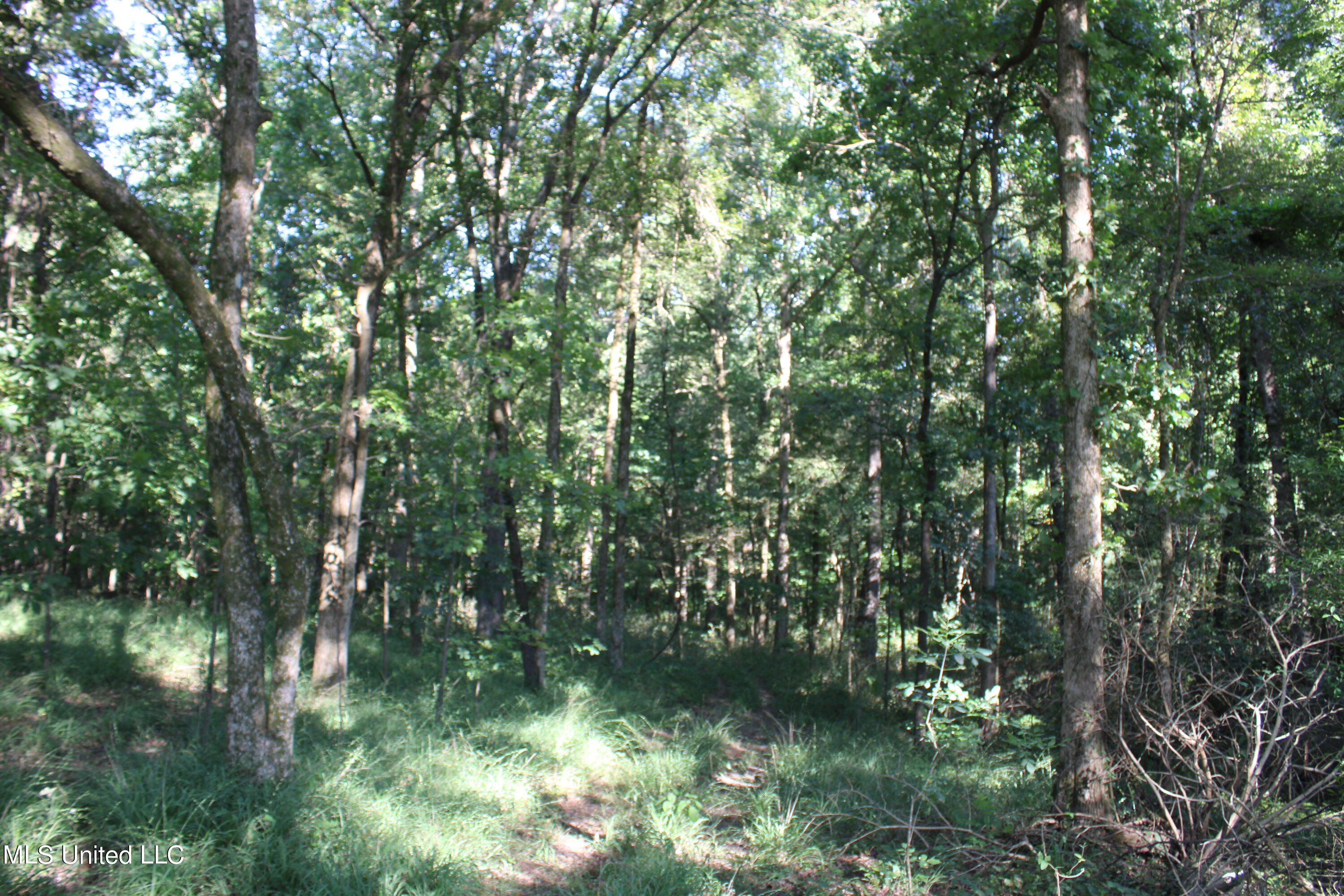 8420 Milne Way Hernando, MS 38632 - Photo 3 of 25 IMG_4345